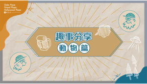 Street-Interview-Digital-Marketing-Agency